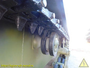 DSCN6246