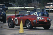 1963 International Championship for Makes 63seb11-ACCobra-J-Maggiacomo-P-Jopp-2