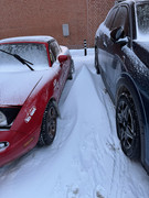 [Immagine: IMG_7060_verticale.jpg]