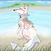 CA6B1C92-7B74-4F8F-AA22-85D7E6BB6389