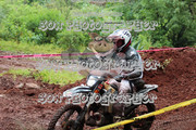 IMG-6479