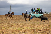 IMG-0064