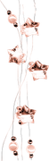 DBJ-ELEM71