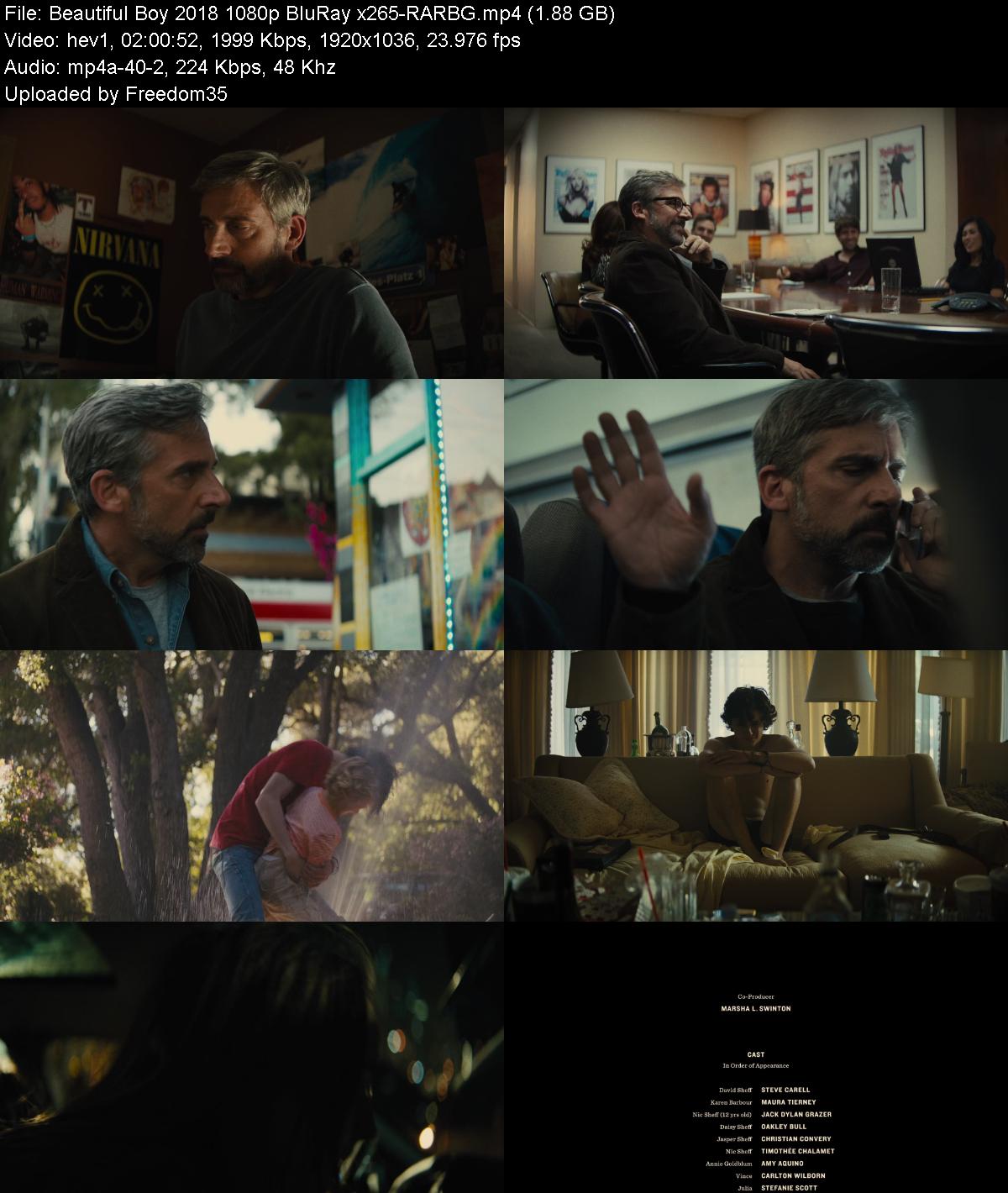 Beautiful-Boy-2018-1080p-Blu-Ray-x265-RA