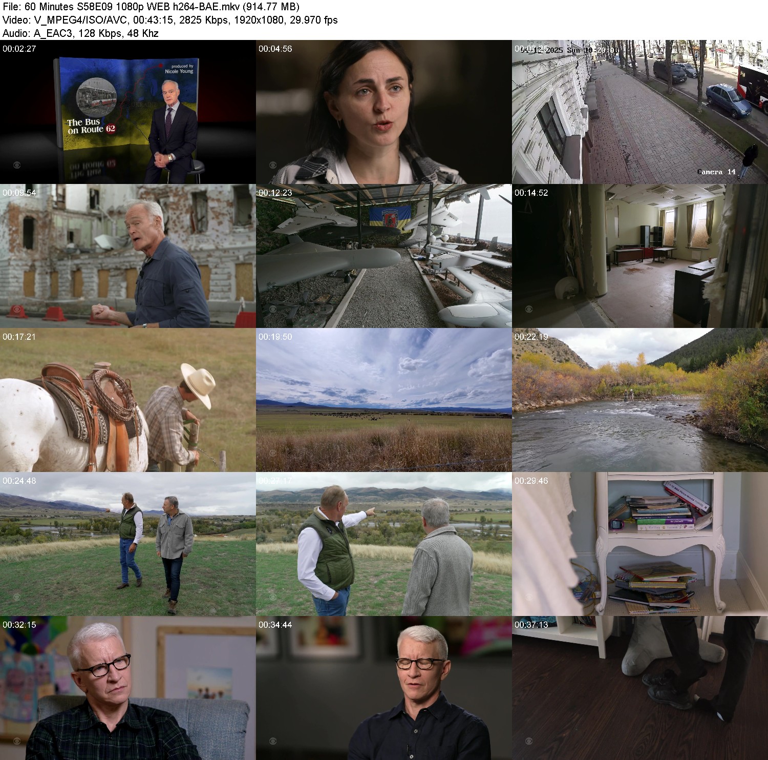 [Image: rl8kp2dw7f7t.jpg]