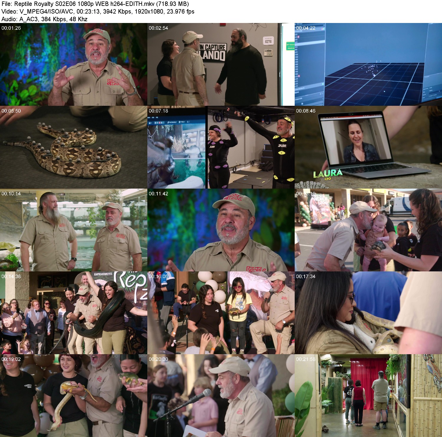 [Image: sttt1ix7s93p.jpg]