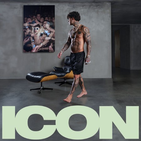 VA - Icon (2024)