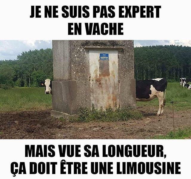 Humour Postimages Humour Postimages