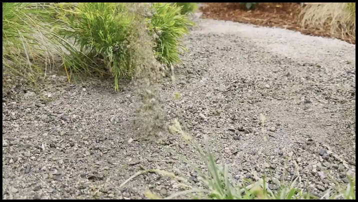 [Image: yiib2p4yo1g7.png]