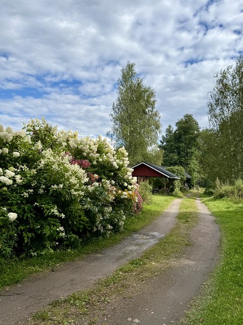 [Linked Image from i.postimg.cc]