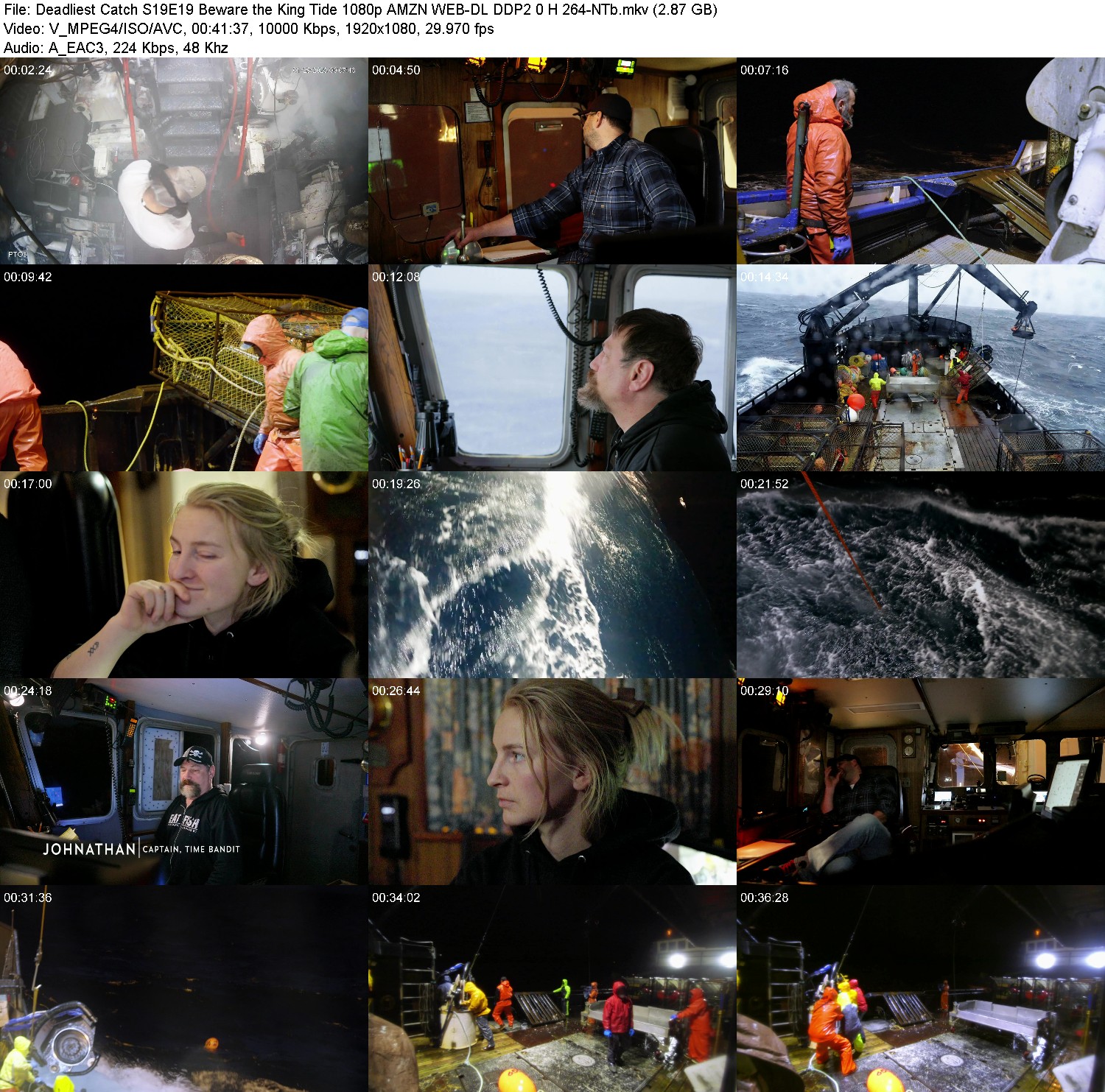 [Image: si9q73qb5dkh.jpg]