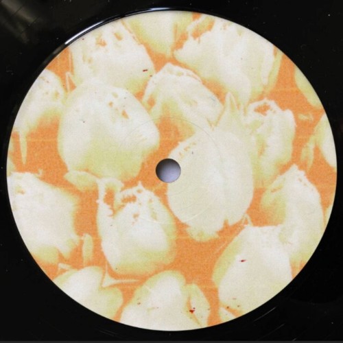 Milan93 x 9ick x Mauricesax - Tulip (2026)