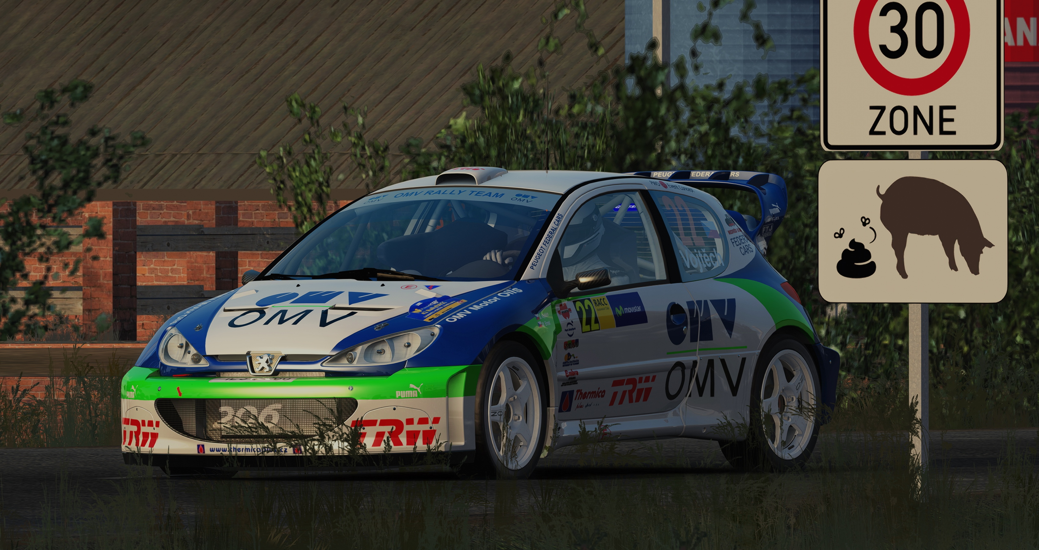 Peugeot-206-WRC-OMV-Marshland-Farms-005.jpg