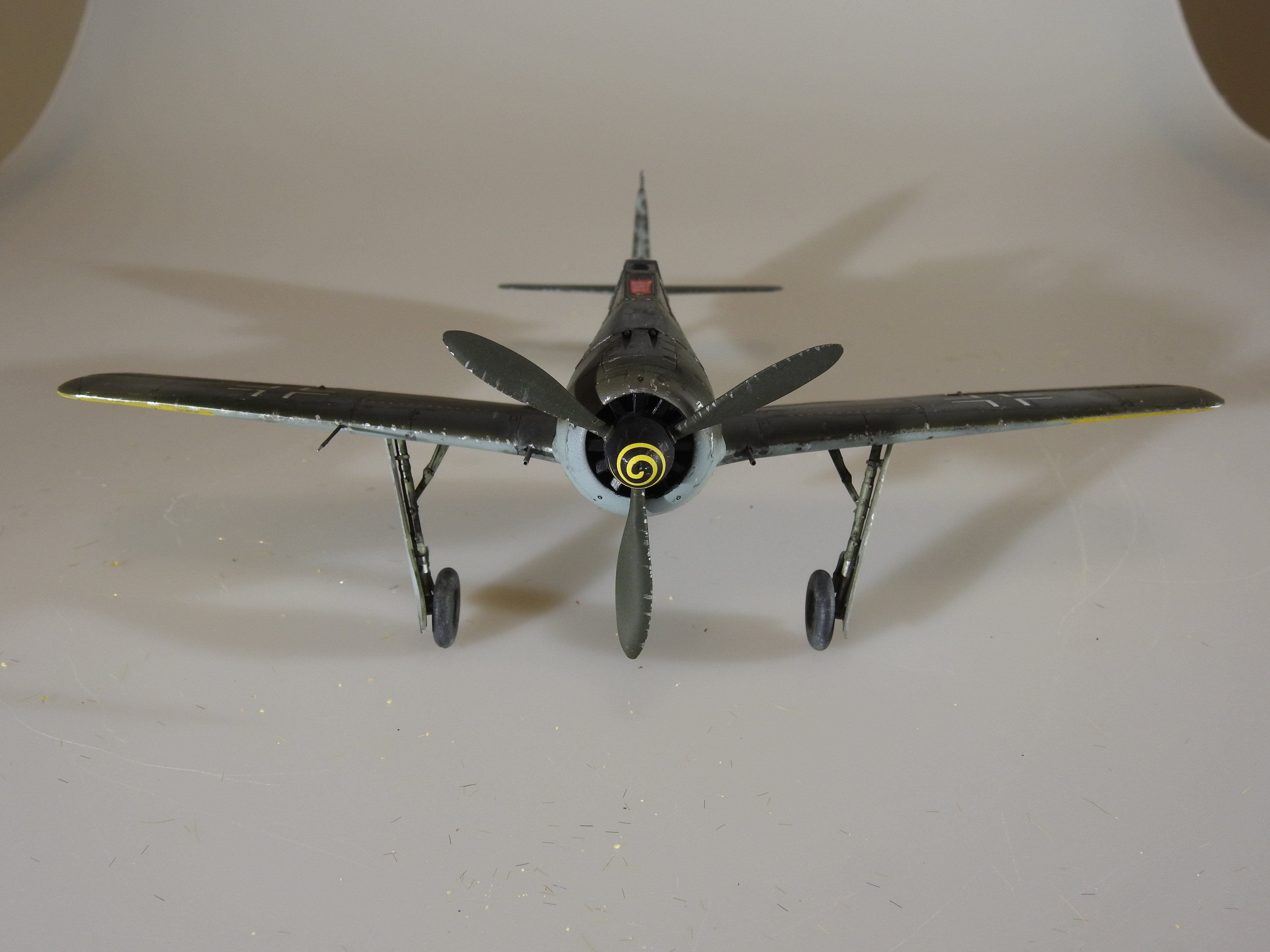 Fw 190A-5, Eduard 1/48 – klar DSCN7541