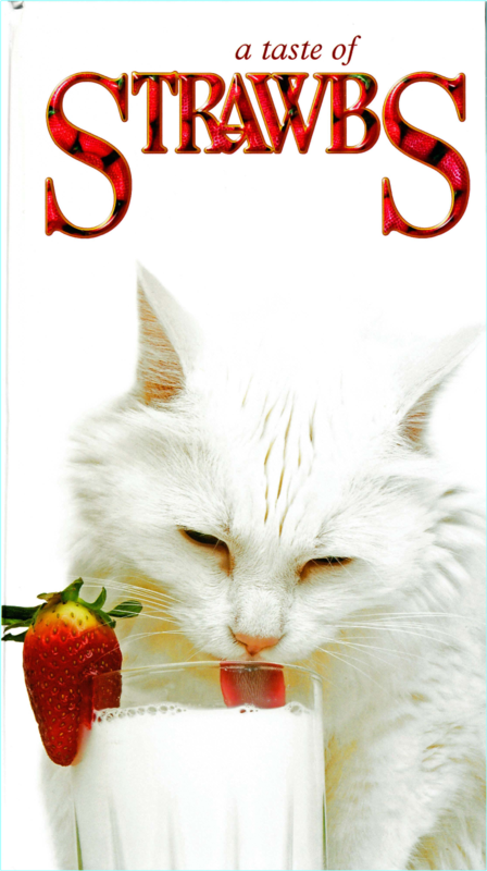r1ru4g9nd0pw.png