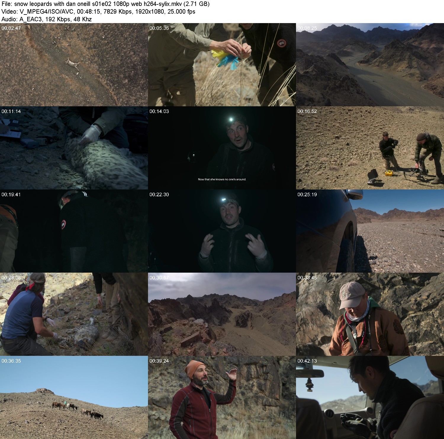 [Image: 33imdj8vr4as.jpg]