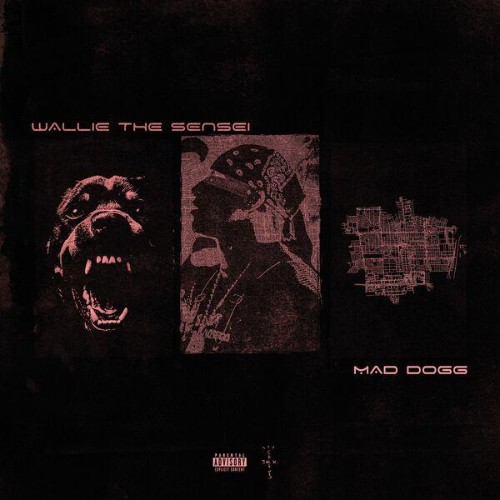 Wallie-The-Sensei-MAD-Dogg-The-Mixtape-V