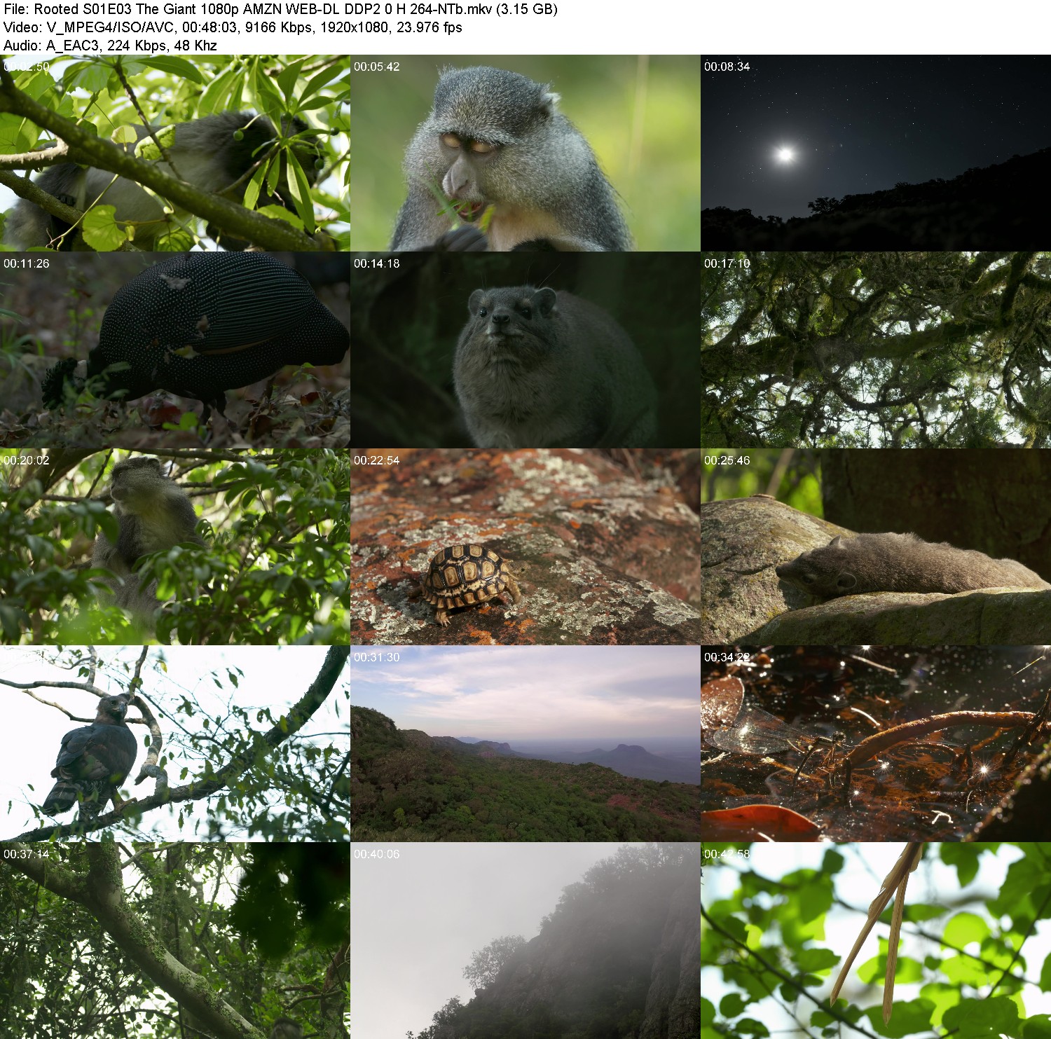 [Image: ithyq61jd29p.jpg]