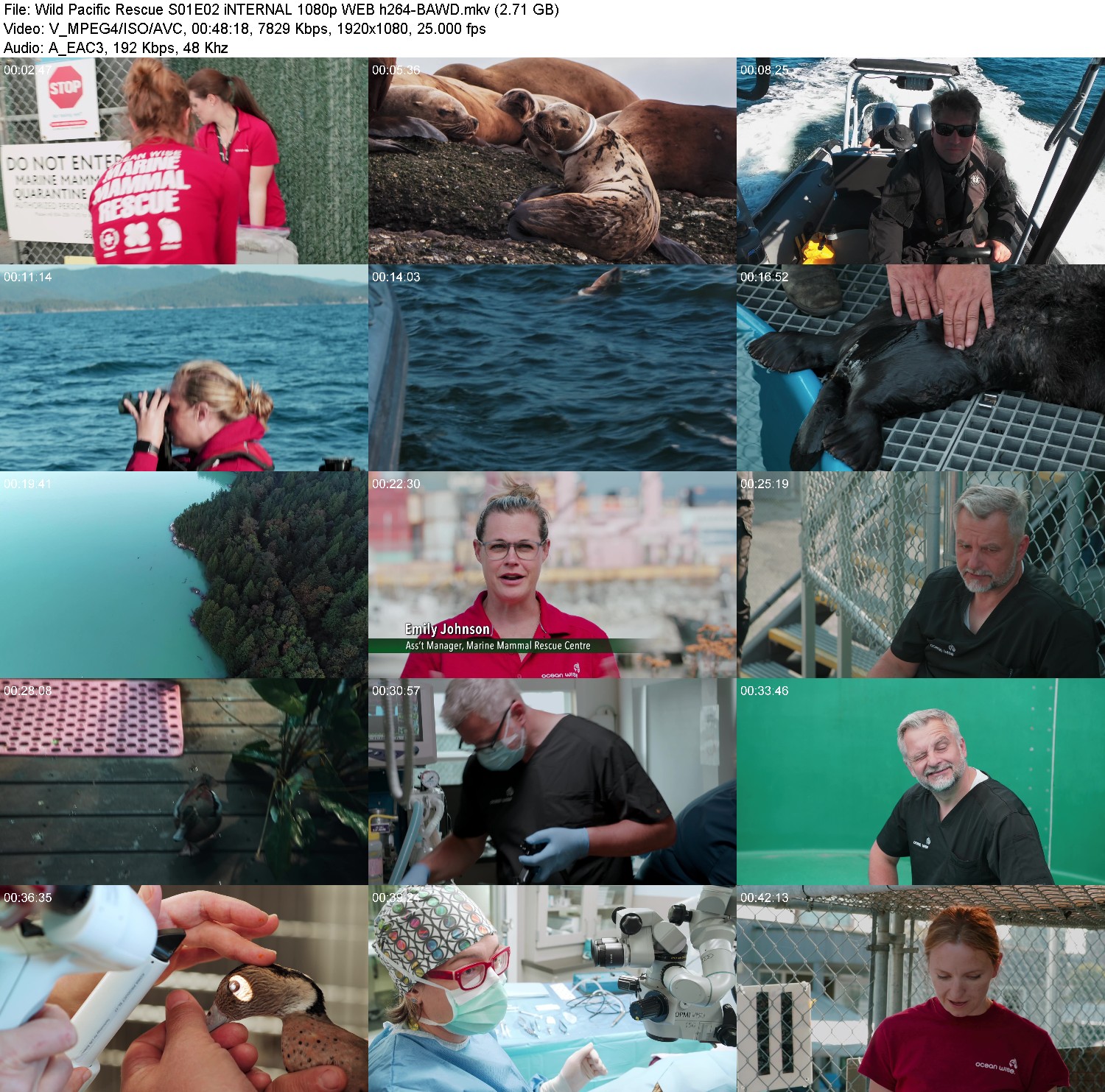 [Image: n16bchfs2d7u.jpg]