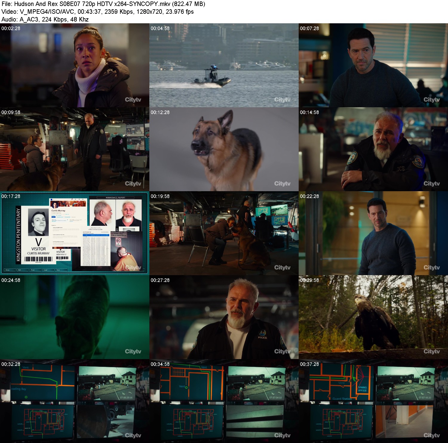 [Image: afe16nm8n2tn.jpg]