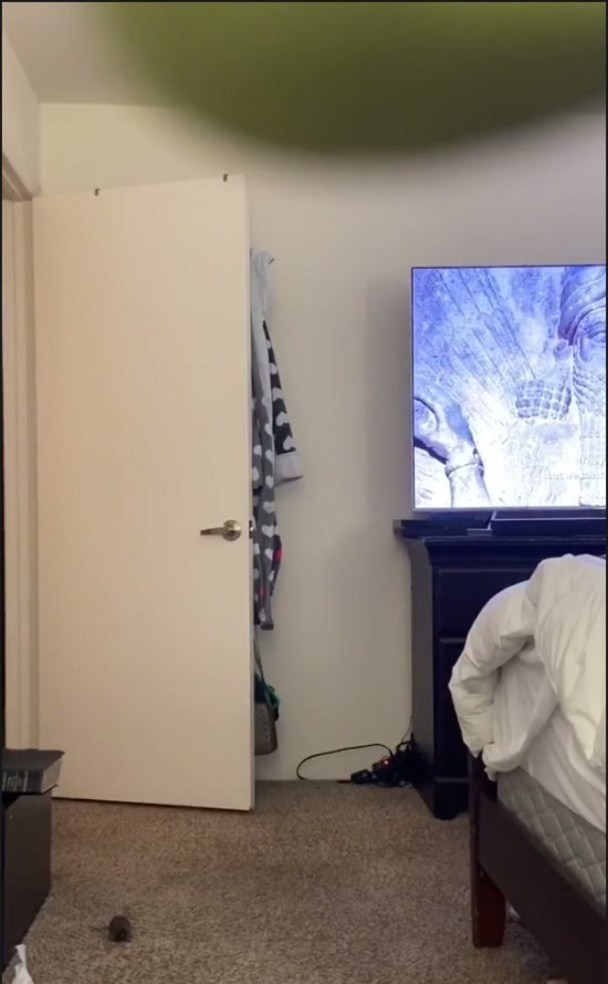 [Image: Voyeur19185095229.jpg]