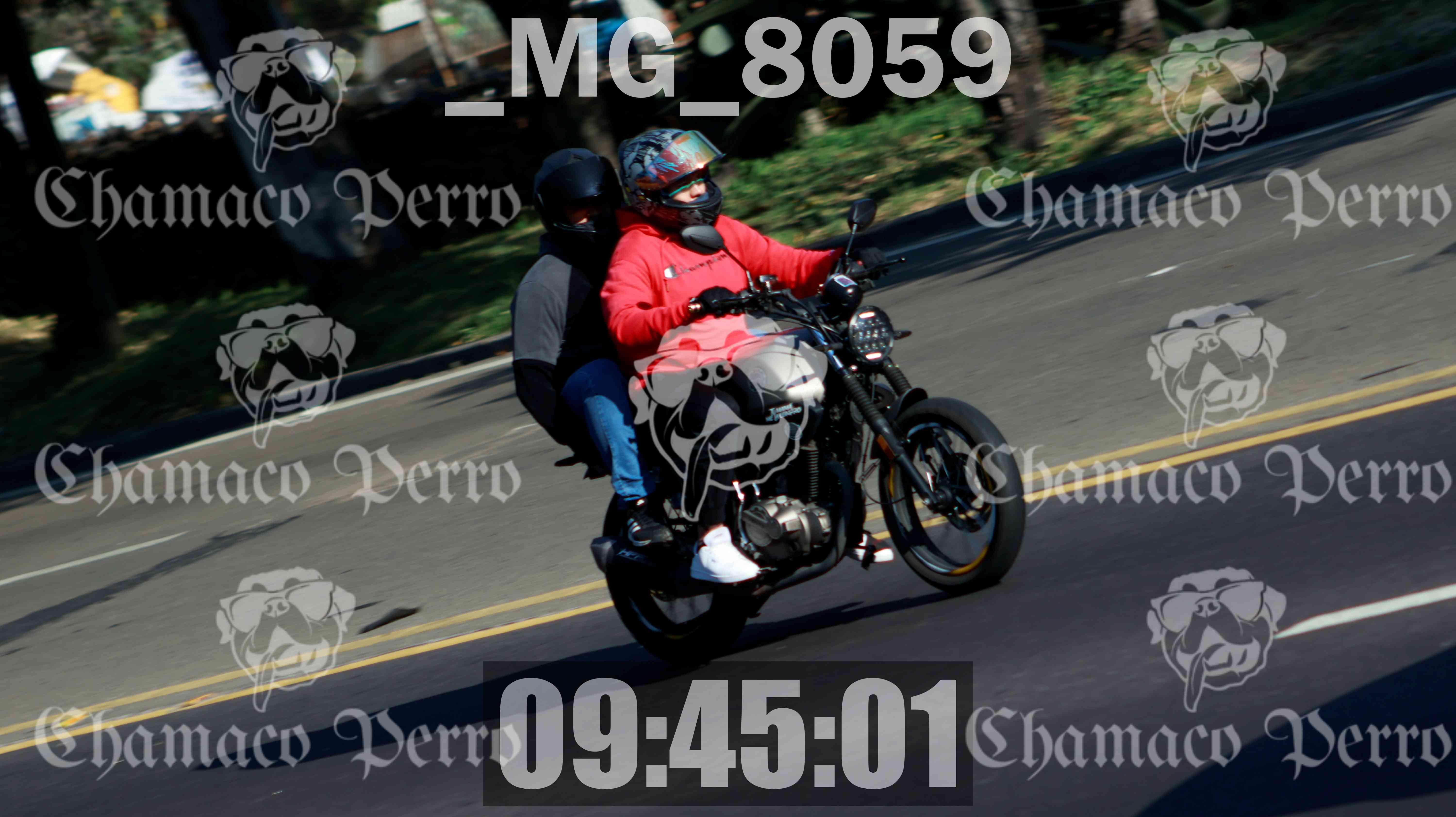 MUESTRA MG 8059 — Postimages