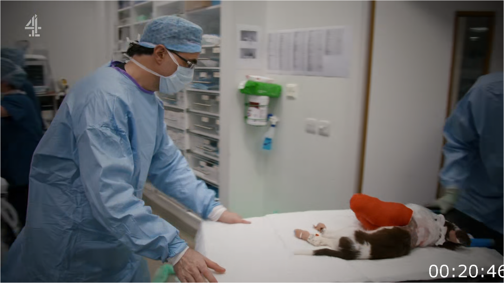 [Image: 1yqqgjbft483.png]