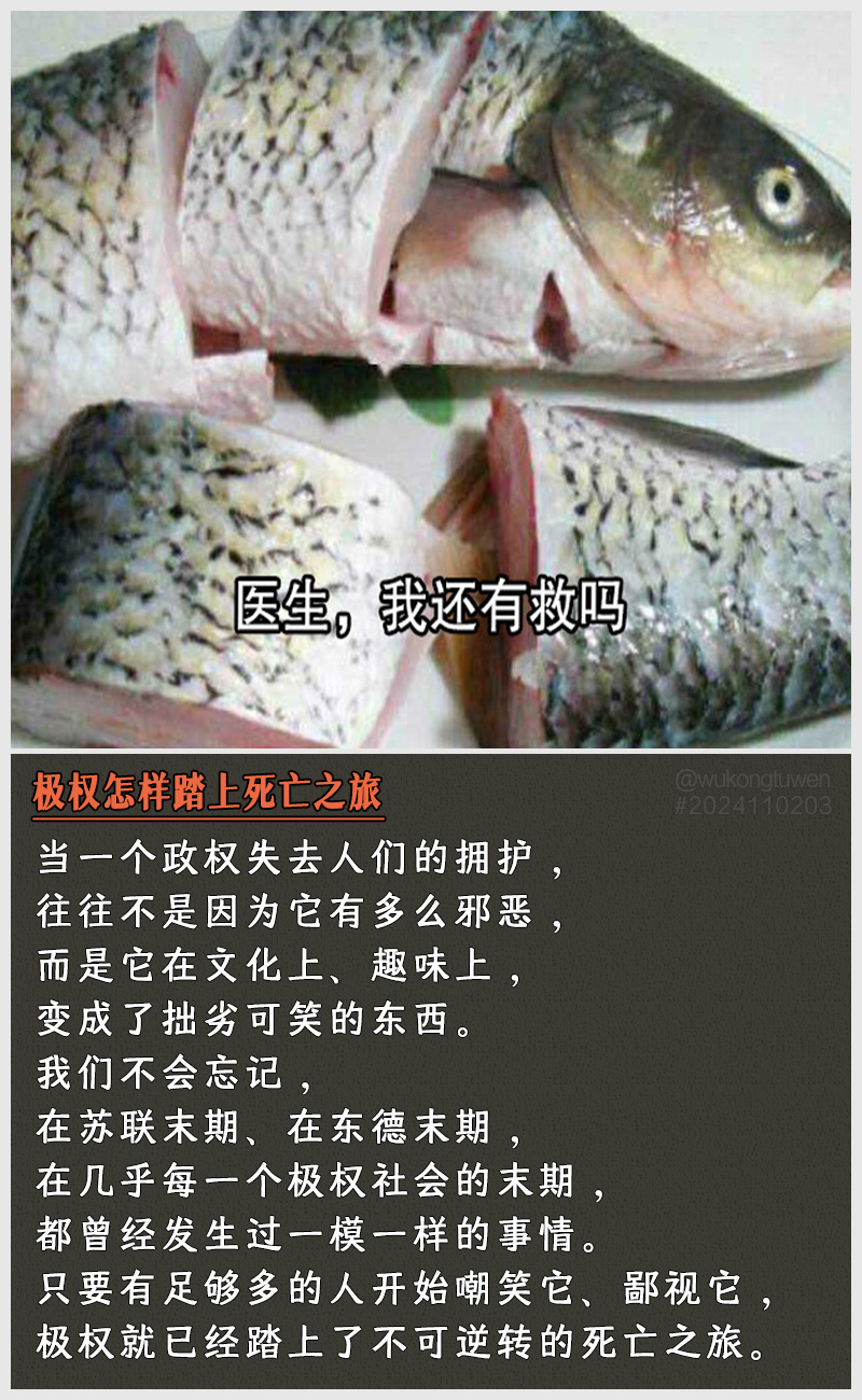 https://i.postimg.cc/1PFVg0Bt/2024110203.jpg