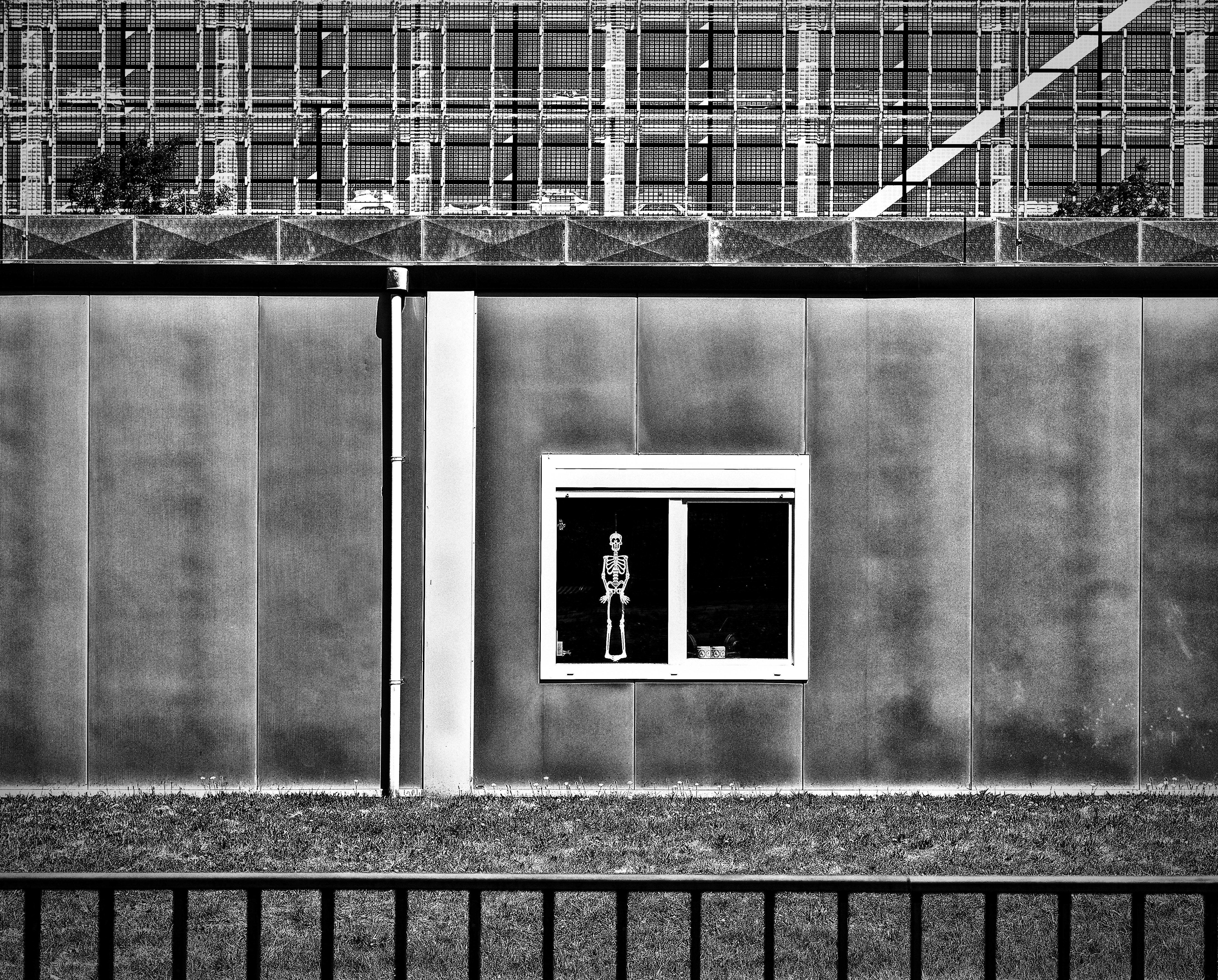 Fotografie