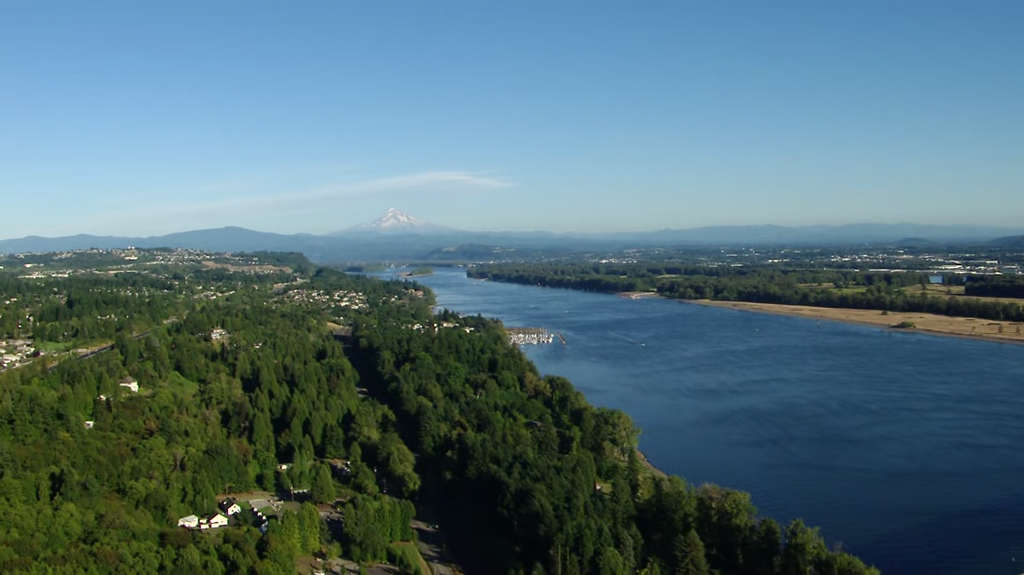 [Image: xg1gumk03d3l.png]