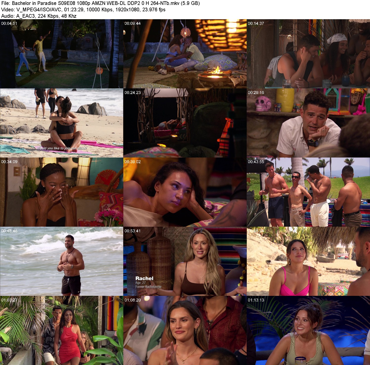 [Image: t2ukurw0b19v.jpg]