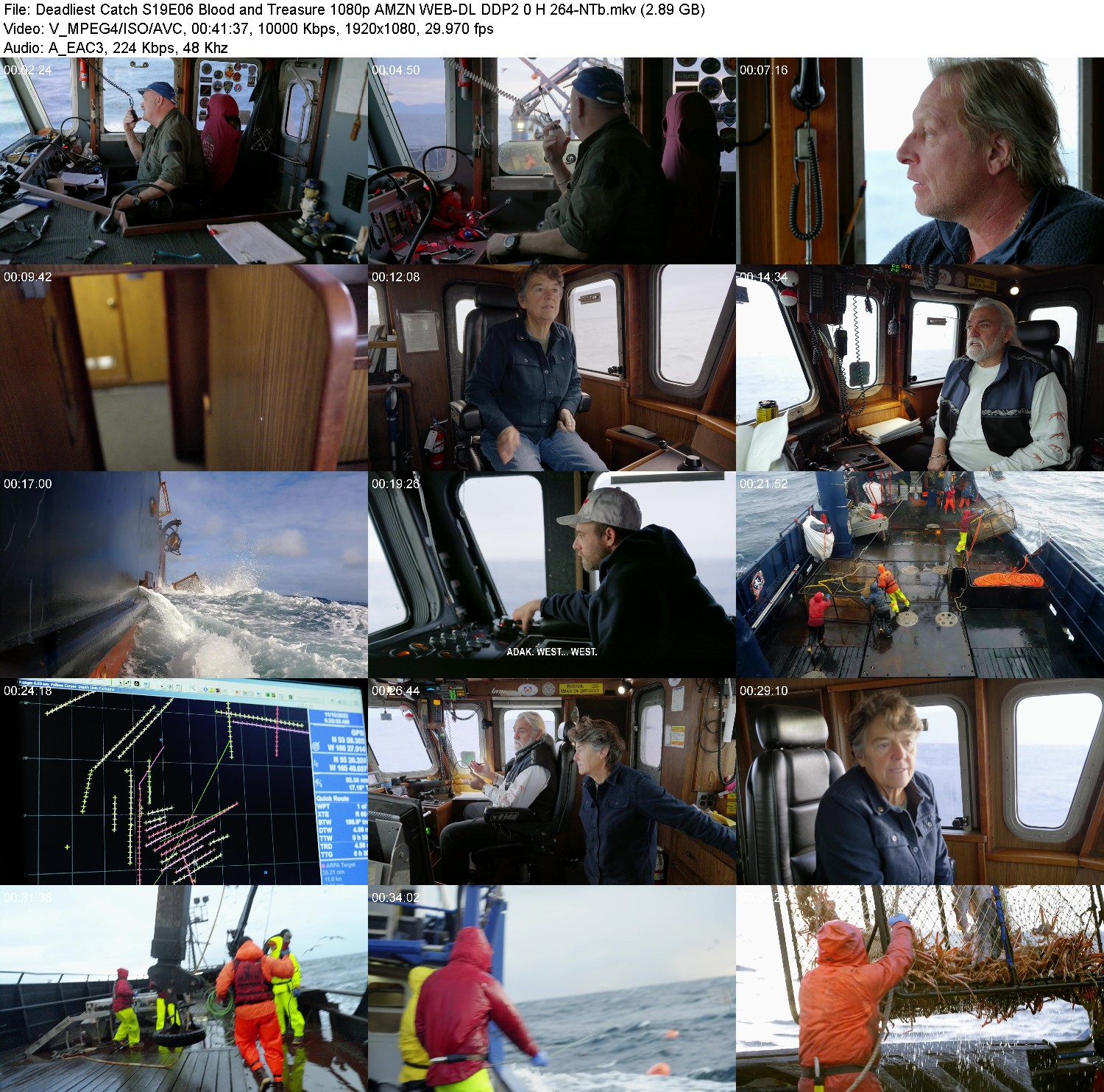 [Image: 8qtzrl63ks1p.jpg]