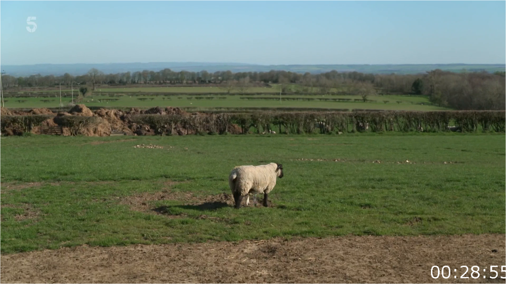 The Yorkshire Vet S19E04 [1080p] HDTV (H264) 20yrdopu9c5u