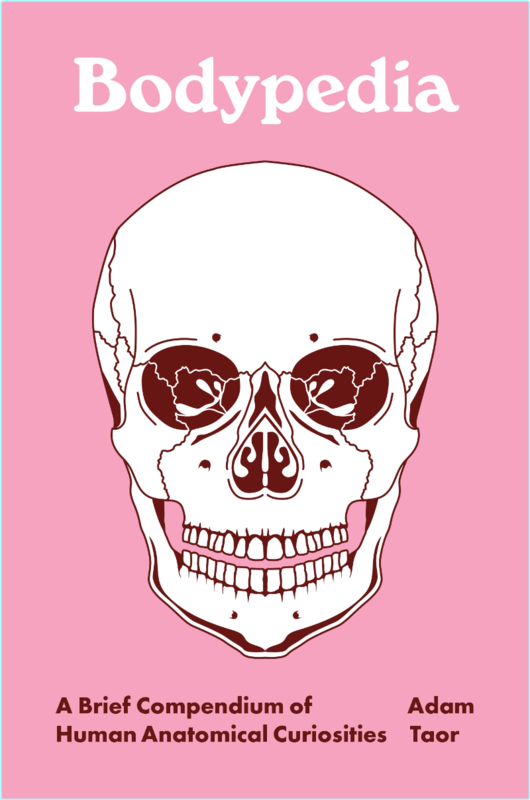 [Image: jem1u98srkh0.png]