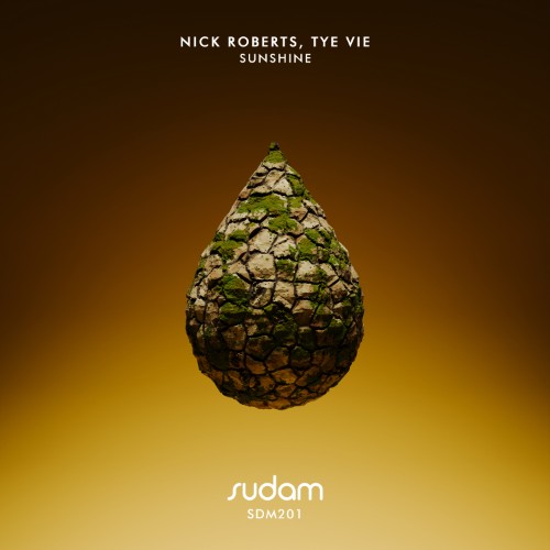 Nick Roberts - Sunshine (2026) MP3