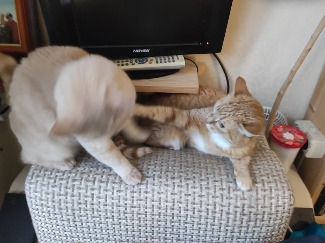 WhatsApp Image 2023-08-23 at 09.16.14 (1)