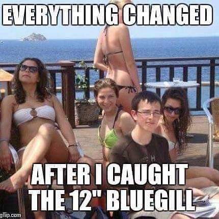 FB_IMG_1564870927465