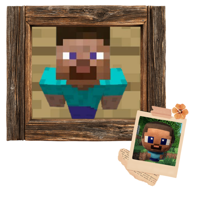 img steve img steve