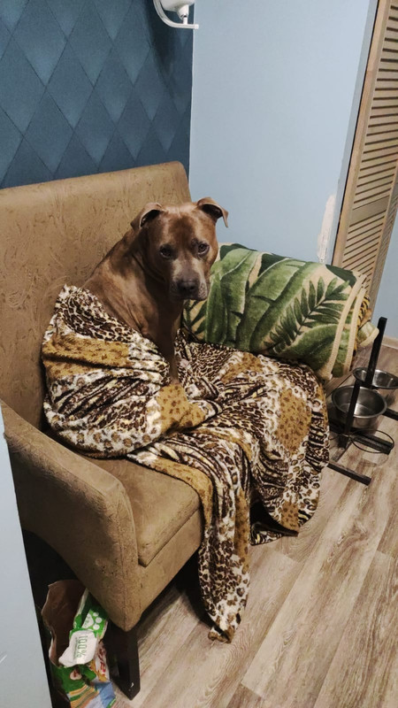 DB7ADCD3-2C43-42C9-86F9-44D090546199