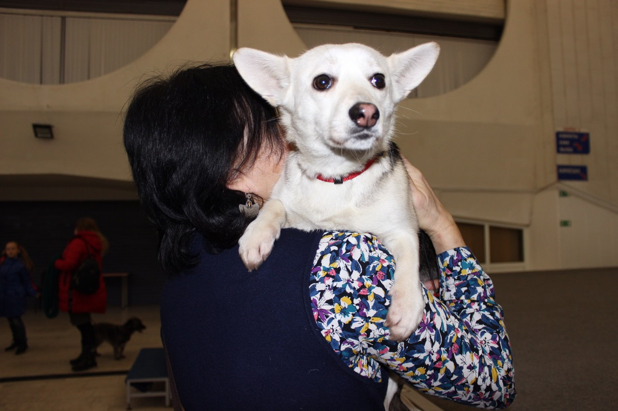 Буся на акции5