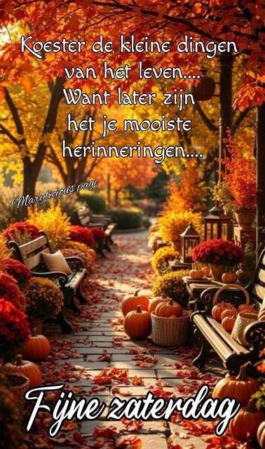 zaterdag
