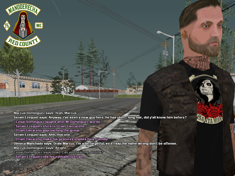 SSRoleplay403.png