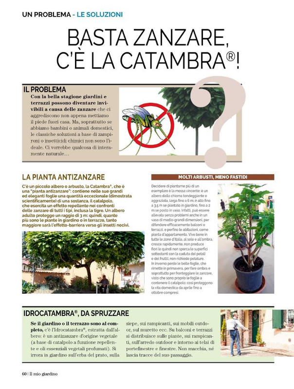 Il Mio Giar Ago-Set 2023 (12)