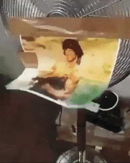 daily-gifdump-3408-23.gif