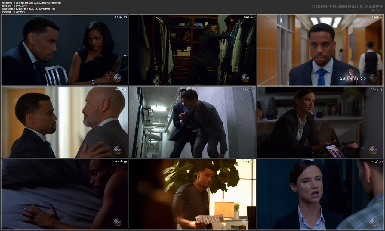 Secrets and Lies S02E02 The Husband.mkv