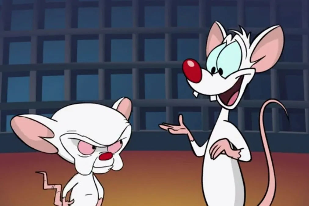 Pinky-and-the-Brain.webp