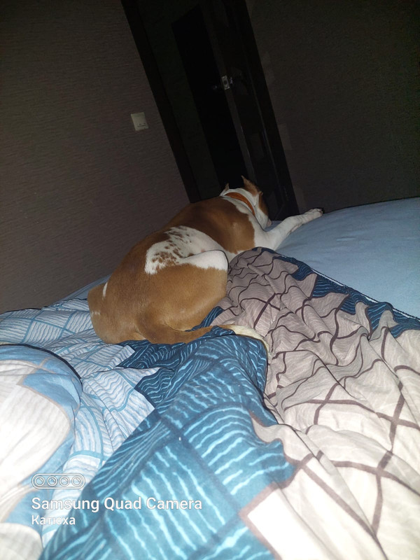 B6463E2F-6FC1-443E-8C54-C15AE7502847