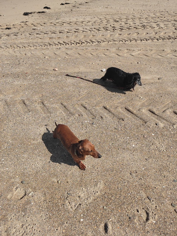 [Image: IMG-20240516-110222.jpg]