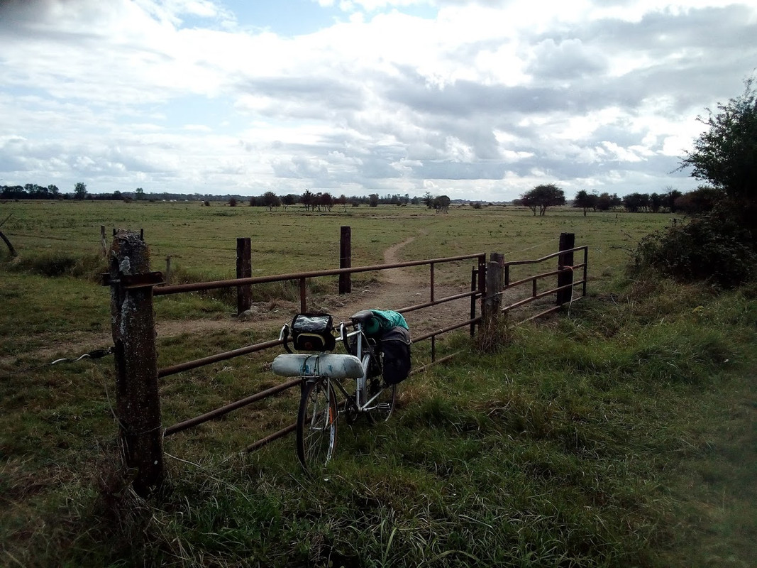 Fête la Manche!!! Route-cygogne