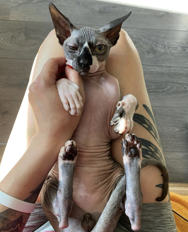 513390DB-F853-4351-A420-3A5A6F622E02